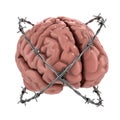 Human brain under barbwire Royalty Free Stock Photo