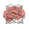Human brain under barbwire Royalty Free Stock Photo