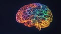 Human brain, but instead of the usual anatomical structure, it is presented as a complex network of intertwined lines