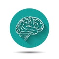 Human brain vector icon flat illustraton with Royalty Free Stock Photo