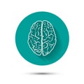 Human brain vector icon flat illustraton with Royalty Free Stock Photo