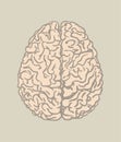 Human brain vector illustration Royalty Free Stock Photo