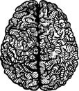 Human brain vector illustration Royalty Free Stock Photo