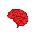 Human brain vector illustration