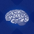 Human brain. Vector side view Royalty Free Stock Photo