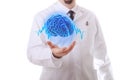 The human brain Royalty Free Stock Photo