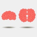 Human brain views set Royalty Free Stock Photo