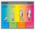 Human Brain Waves by Age Chart Diagram - People Silhouettes - Rainbow Colors - English Language
