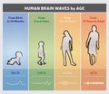 Human Brain Waves by Age Chart Diagram - People Silhouettes Royalty Free Stock Photo