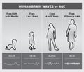 Human Brain Waves by Age Chart Diagram - People Silhouettes