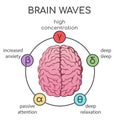 Human brain waves Royalty Free Stock Photo