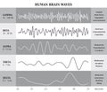 Human Brain Waves Diagram / Chart / Illustration Royalty Free Stock Photo