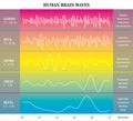 Human Brain Waves Diagram in Rainbow Colors with Explanations - Alpha Beta Gamma Theta Delta Frequencies Royalty Free Stock Photo