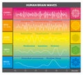 Human Brain Waves Diagram in Rainbow Colors with Explanations - Alpha Beta Gamma Theta Delta Frequencies and Mandalas Royalty Free Stock Photo