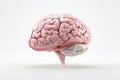 Human brain on a white background. 3d render, 3d illustration Royalty Free Stock Photo