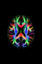 Human brain white matter Fractional anisotropy with color-coded by the underlying tract orientation