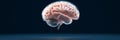 The Human Brain A Window into Thought showcasing the intricate complexity of the human mind knowledge learning thinking and