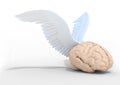 Human brain with wings