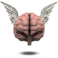 Human Brain with Wings