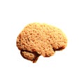 Human Brain from Yellow Sponge. Concept of Cognition, Learning, Immersion, Knowledge, Brain Susceptibility, Information, Media.