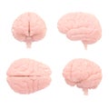 4 human brains, different point of view - transparent background