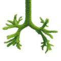 Human bronchi in the form of green fresh grass. An integral part of the lung. 3d rendering