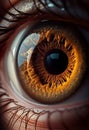 Human brown eye close up. AI Generated
