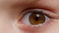 Human brown eye iris opening pupil, eyeball of child looking intro distance close-up macro shot Royalty Free Stock Photo