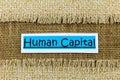 Human capital business team hr management employee recruitment leadership