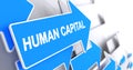 Human Capital - Message on Blue Pointer. 3D. Royalty Free Stock Photo