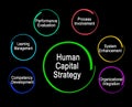 Human Capital Strategy Royalty Free Stock Photo
