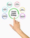Human Capital Strategy Royalty Free Stock Photo