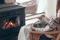 Human with cat relaxing by the fire place Royalty Free Stock Photo