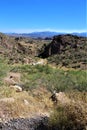 Wildfire, Human Caused, Bush Fire, June 13, 2020, Tonto National Forest, Arizona, United States