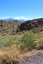 Wildfire, Human Caused, Bush Fire, June 13, 2020, Tonto National Forest, Arizona, United States