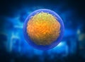 Human cell or animal cell. 3d stem cell Royalty Free Stock Photo