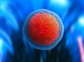 Human cell or animal cell. 3d stem cell. Royalty Free Stock Photo