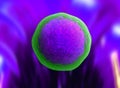 Human cell or animal cell. nucleolus, nucleus, 3d stem cell. Royalty Free Stock Photo