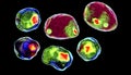 Human cell, colored in imaging flow cytometry style