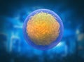 Human cell. 3d stem cell. it is mature cells, ready to split in multi cells. Royalty Free Stock Photo