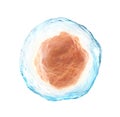 Human cell isolated on a white. Royalty Free Stock Photo