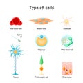 Cell set. collection of icons Royalty Free Stock Photo