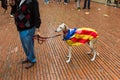 Human chain for the catalan independence