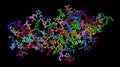 Human chorionic gonadotropin, hCG, placental hormone. PDB:1HRP . Glycoprotein hormone is used in pregnancy test. Illustration