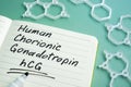 Human Chorionic Gonadotropin hCG written on the page. Royalty Free Stock Photo