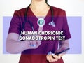 HUMAN CHORIONIC GONADOTROPIN TEST hCG phrase on the screen. Doctor use cell technologies at office