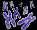 Human chromosomal DNA 3d rendering