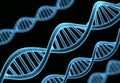 Human chromosome DNA molecular