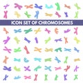 Human chromosome Royalty Free Stock Photo