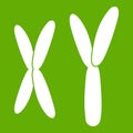 Human chromosomes icon green Royalty Free Stock Photo